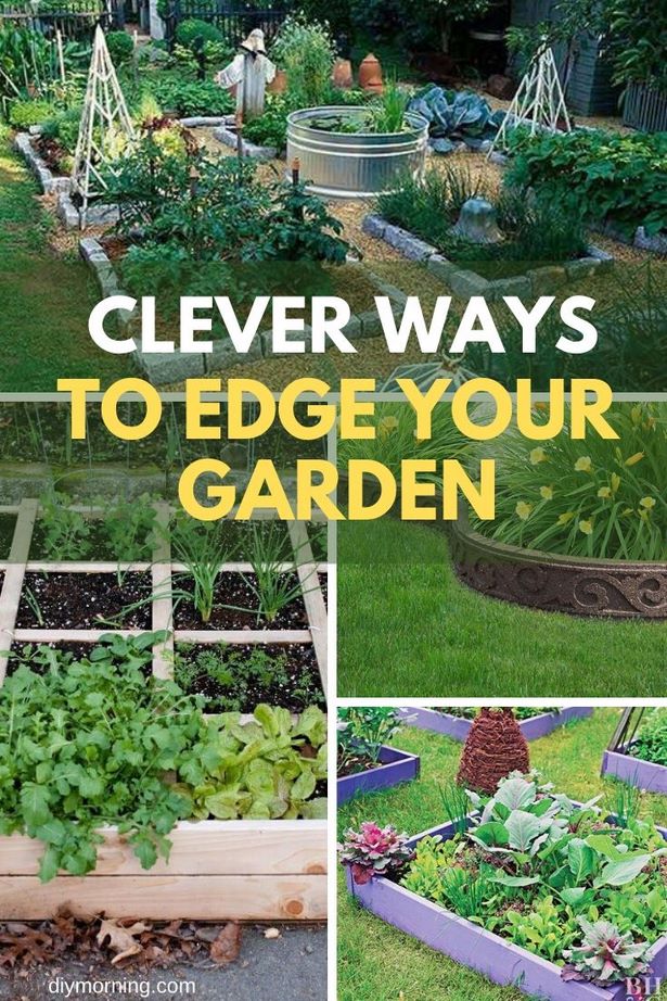 cheap-vegetable-garden-edging-72_5 Евтини зеленчукова градина кант