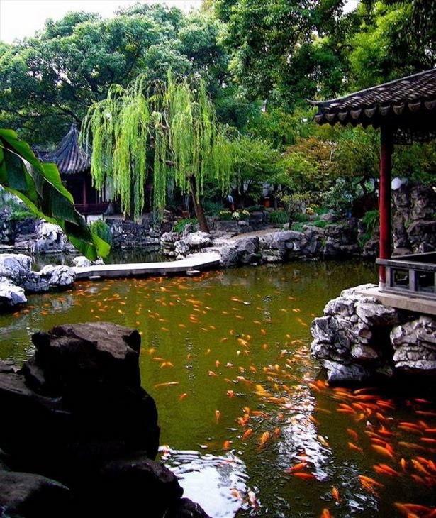 chinese-garden-ideas-pictures-71_9 Китайски градински идеи снимки