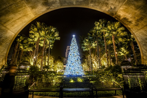 christmas-lights-and-decorations-20_6 Коледни светлини и декорации