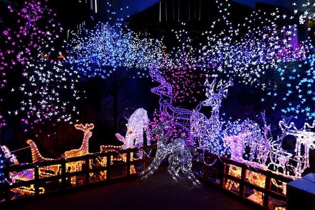 christmas-lights-decorations-outdoor-ideas-26_5 Коледни светлини декорации идеи за открито