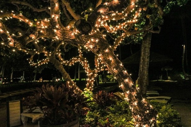 christmas-lights-outside-ideas-44 Коледни светлини извън идеи