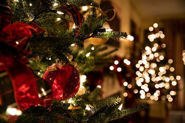 christmas-lights-outside-ideas-44_8 Коледни светлини извън идеи