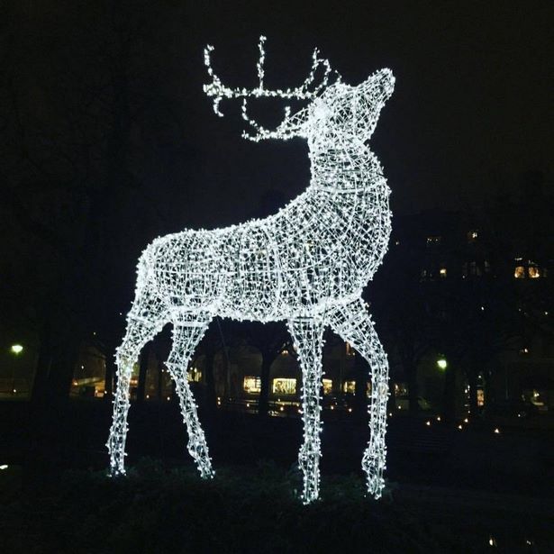 christmas-reindeer-lights-26_3 Коледни елени светлини