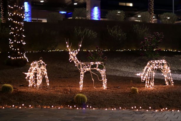 christmas-reindeer-lights-26_7 Коледни елени светлини