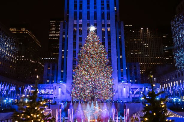 christmas-tree-with-lights-27_14 Коледно дърво със светлини