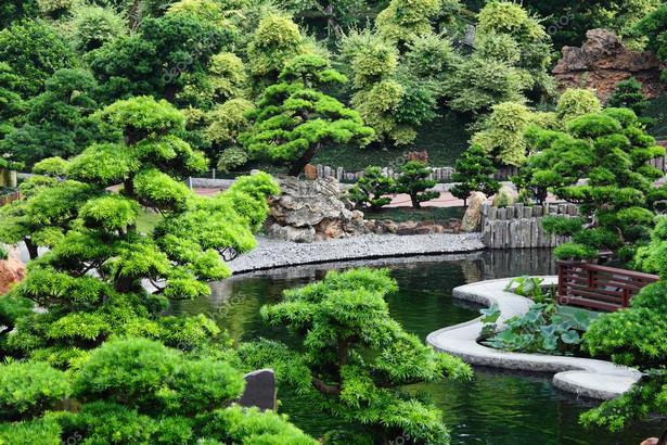 diy-chinese-garden-58_7 Направи Си Сам китайска градина