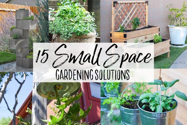 diy-gardens-for-small-spaces-55_10 Направи Си Сам градини за малки пространства