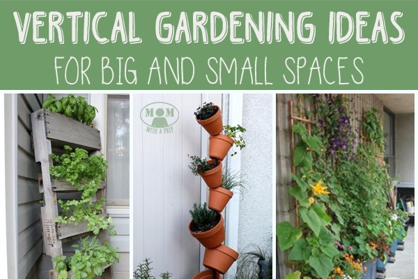 diy-gardens-for-small-spaces-55_5 Направи Си Сам градини за малки пространства