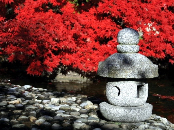 elements-of-a-japanese-garden-design-73_8 Елементи на японския дизайн на градината