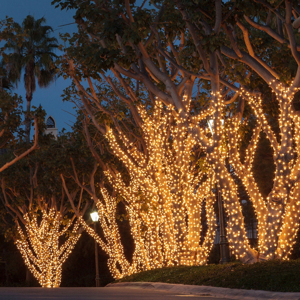 exterior-christmas-tree-lights-54 Екстериорни светлини за коледно дърво