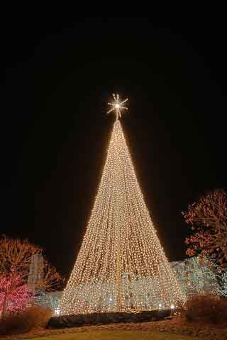 exterior-christmas-tree-lights-54_5 Екстериорни светлини за коледно дърво