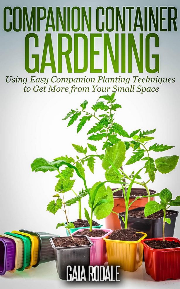 gardening-techniques-small-spaces-97_10 Градинарски техники малки пространства