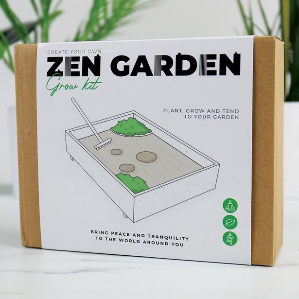 grow-your-own-zen-garden-23 Създайте своя дзен градина