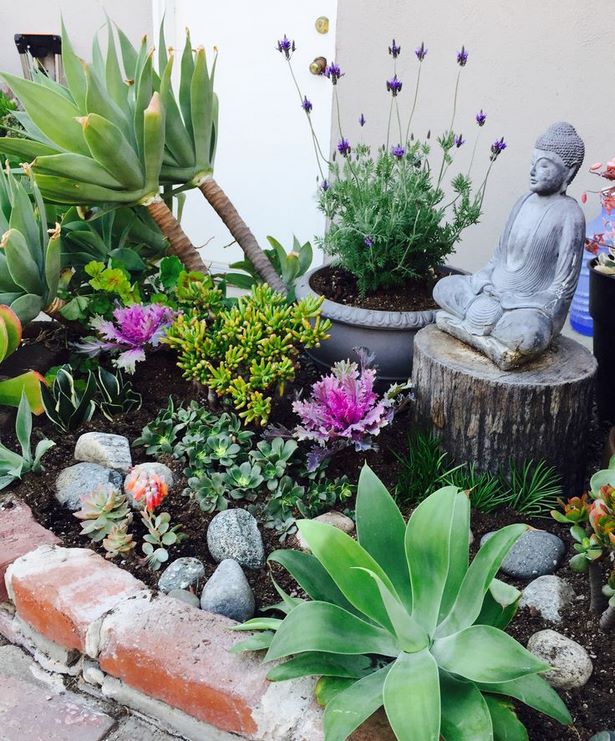 grow-your-own-zen-garden-23_18 Създайте своя дзен градина
