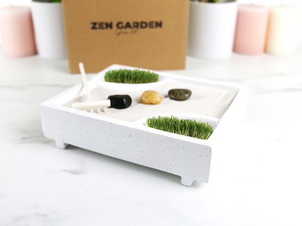 grow-your-own-zen-garden-23_2 Създайте своя дзен градина