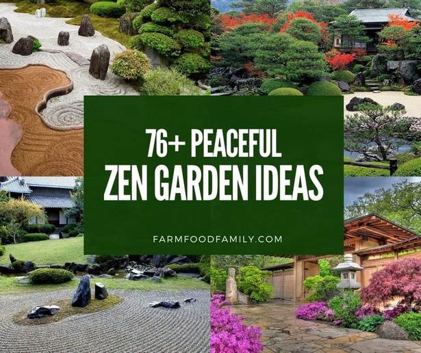 grow-your-own-zen-garden-23_9 Създайте своя дзен градина