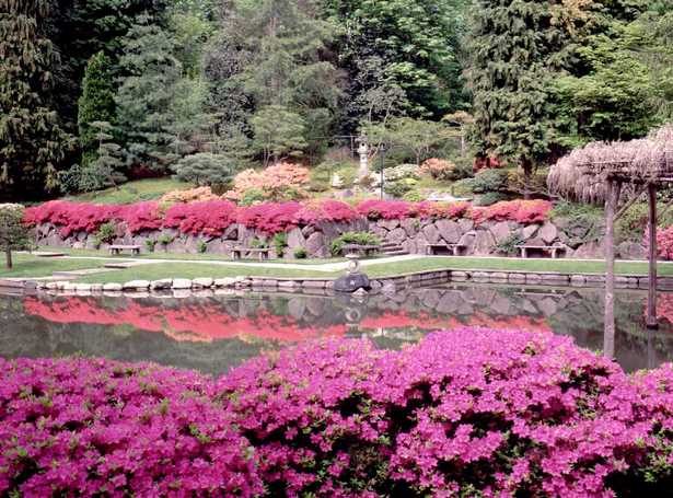 in-a-japanese-garden-93_16 В японската градина
