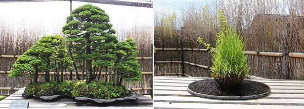 japanese-bonsai-garden-56_10 Японска градина бонсай