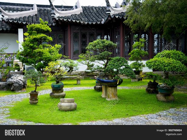 japanese-bonsai-garden-56_11 Японска градина бонсай