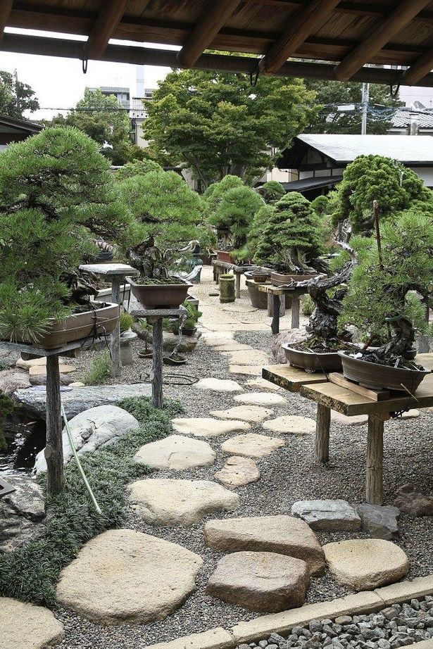 japanese-bonsai-garden-56_12 Японска градина бонсай