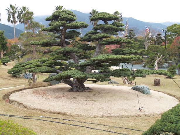 japanese-bonsai-garden-56_13 Японска градина бонсай