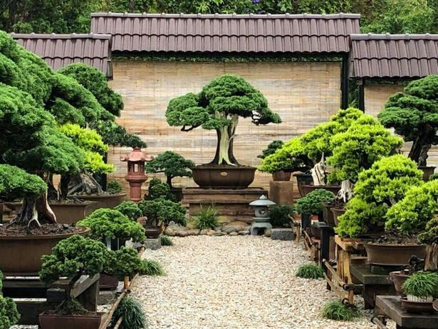 japanese-bonsai-garden-56_6 Японска градина бонсай