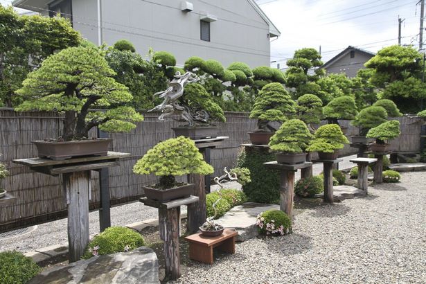 japanese-bonsai-garden-56_8 Японска градина бонсай