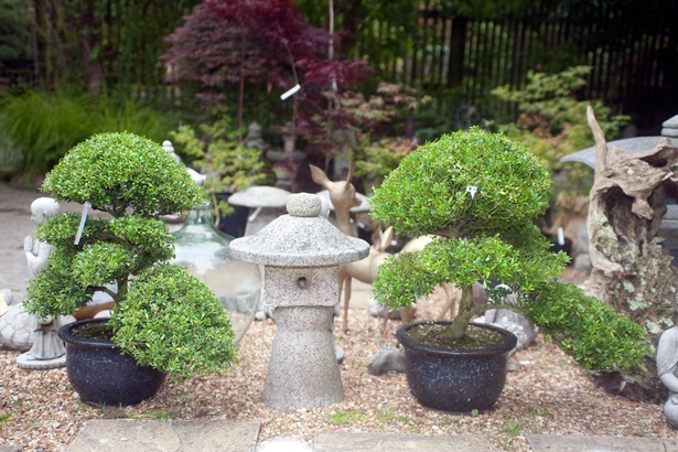 japanese-bonsai-garden-56_9 Японска градина бонсай