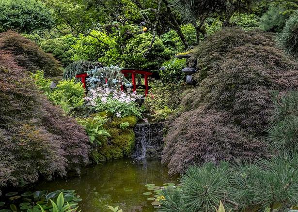 japanese-garden-characteristics-34_12 Характеристики на японската градина