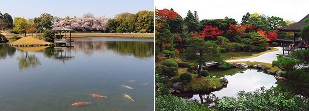 japanese-garden-elements-symbolism-47_8 Японски градински елементи символика
