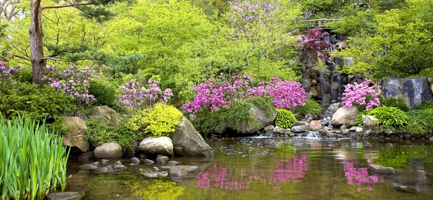 japanese-garden-illinois-08_11 Японската градина Илинойс