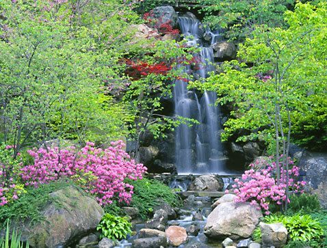 japanese-garden-illinois-08_16 Японската градина Илинойс