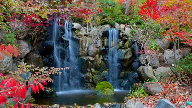 japanese-garden-illinois-08_17 Японската градина Илинойс
