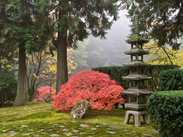 japanese-garden-in-japanese-41_10 Японска градина на японски