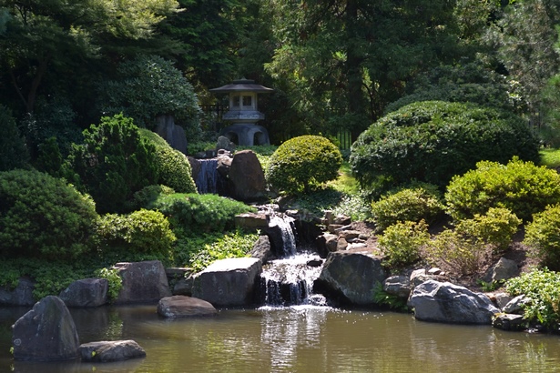 japanese-garden-pond-pictures-55_10 Японски градина езерце снимки