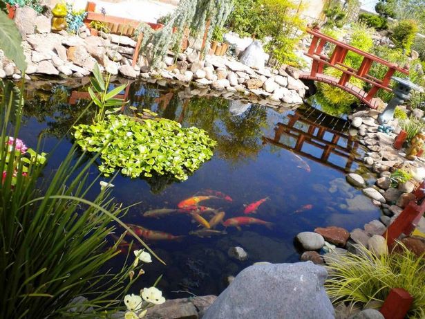 japanese-garden-pond-pictures-55_12 Японски градина езерце снимки