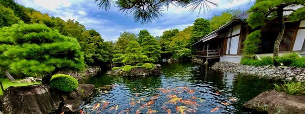japanese-garden-pond-pictures-55_13 Японски градина езерце снимки
