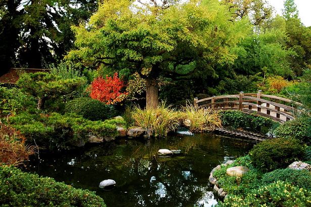 japanese-garden-pond-pictures-55_4 Японски градина езерце снимки