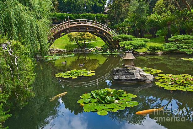 japanese-garden-pond-pictures-55_5 Японски градина езерце снимки