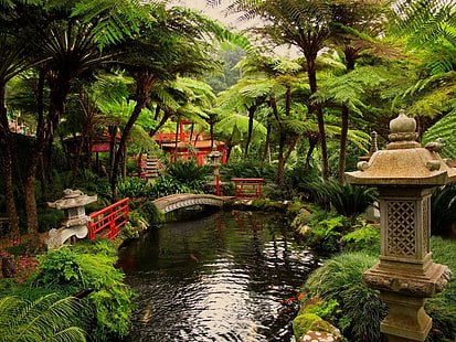 japanese-garden-pond-pictures-55_6 Японски градина езерце снимки