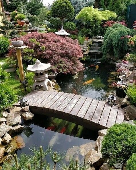 japanese-garden-pond-pictures-55_7 Японски градина езерце снимки