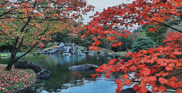 japanese-gardens-in-europe-04 Японските градини в Европа