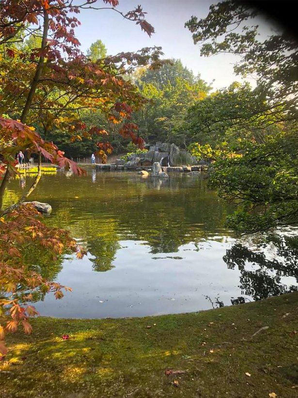 japanese-gardens-in-europe-04_8 Японските градини в Европа
