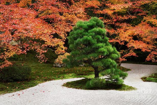 japanese-tree-garden-90_16 Японска градина с дървета