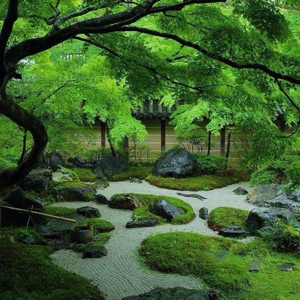 japanese-zen-garden-images-95 Японски дзен градина изображения