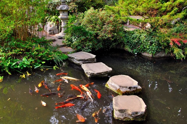 japenese-water-gardens-29_10 Японски водни градини