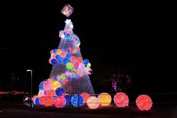 large-outdoor-christmas-tree-lights-57_12 Големи открито коледно дърво светлини