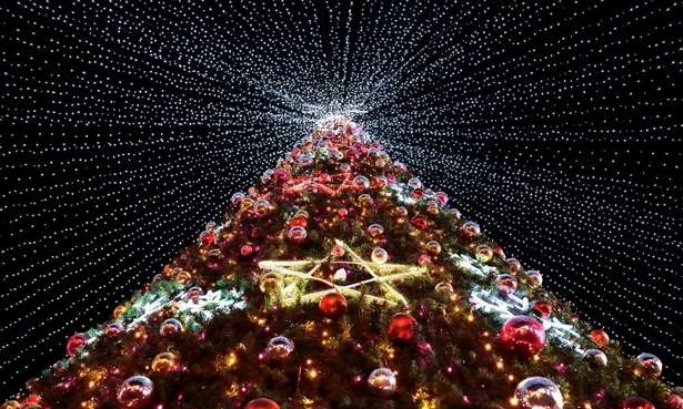 large-outdoor-christmas-tree-lights-57_4 Големи открито коледно дърво светлини