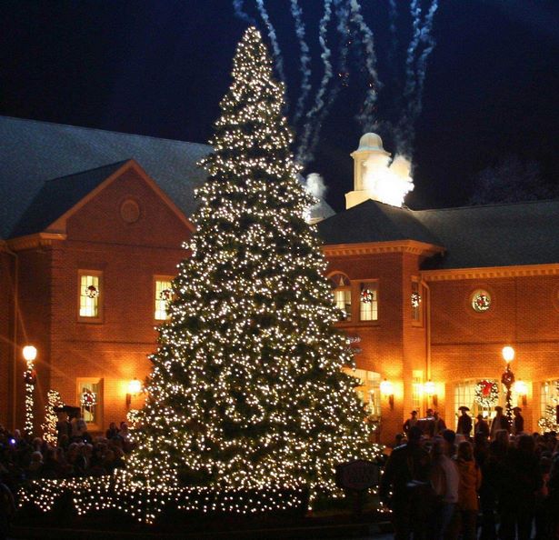 large-outdoor-christmas-tree-lights-57_8 Големи открито коледно дърво светлини