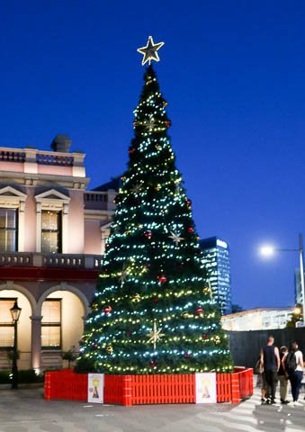 large-outdoor-christmas-tree-lights-57_9 Големи открито коледно дърво светлини
